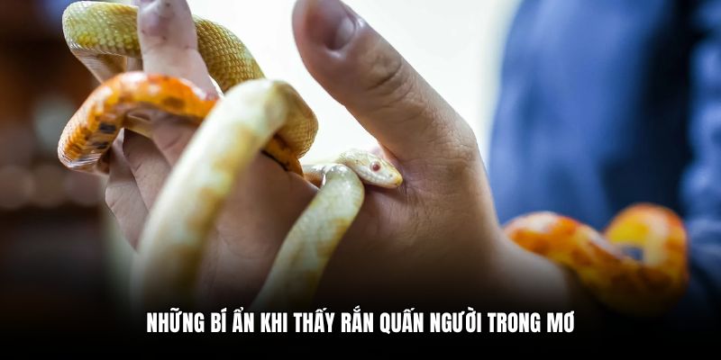 Những bí ẩn khi thấy rắn quấn người trong mơ