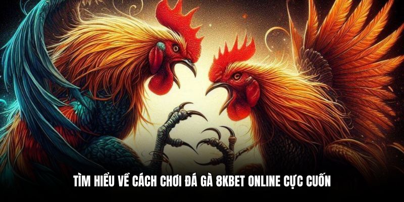 Tìm hiểu về cách chơi đá gà 8KBET online cực cuốn